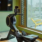 Tribe *